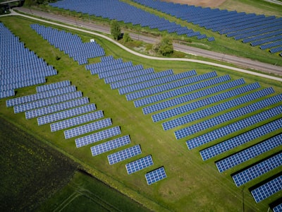 Sustainability & ESG-Focused Organizations